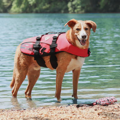 Premium Dog Life Jacket – Adjustable Safety Vest with Reflective Trim & Durable Handle